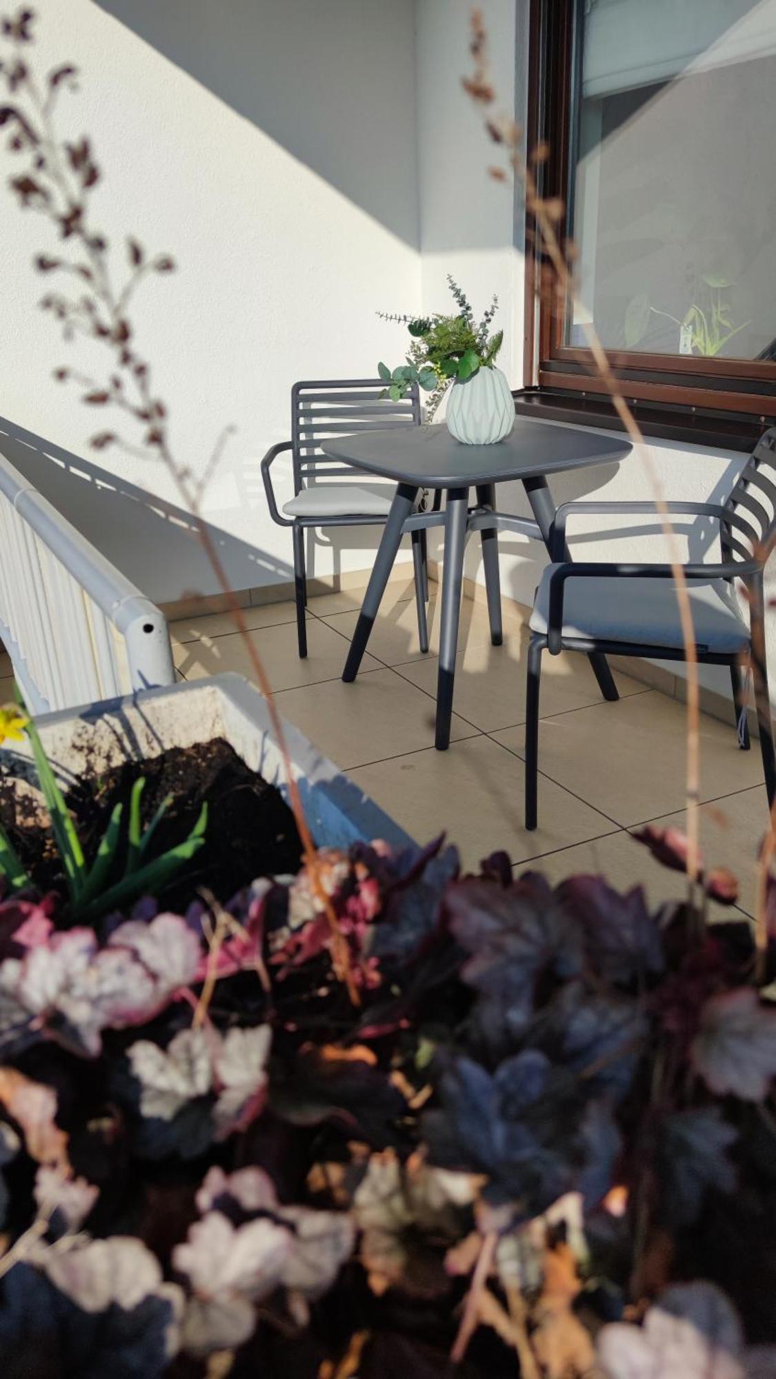 Rooftop In Kehl Bei Strasbourg 外观 照片